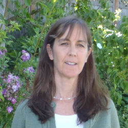 Maureen Williams| ND| Naturopathic Doctor Victoria